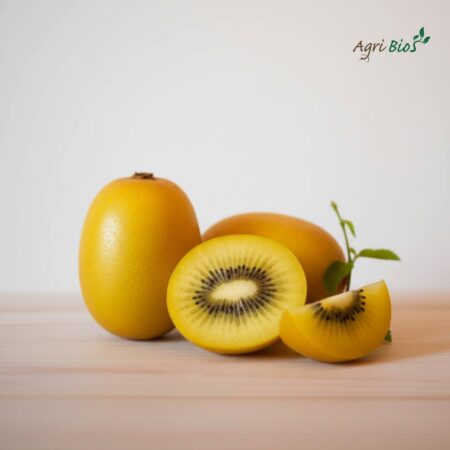 kiwi-gialli