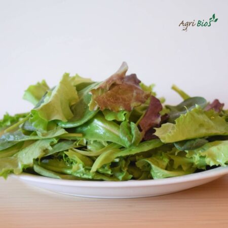 Insalatina a taglio (100 gr )