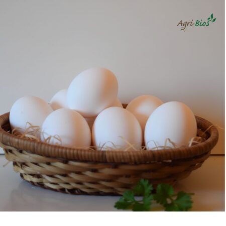 uova-bianche