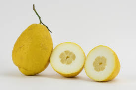 Cedro