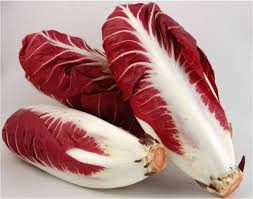 Radicchio di Treviso