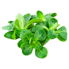 Valeriana ( 100 gr )