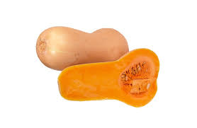 Zucca Butternut