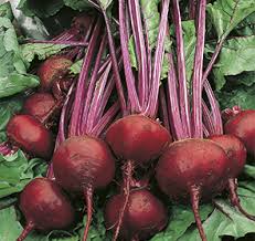 Bietola da orto