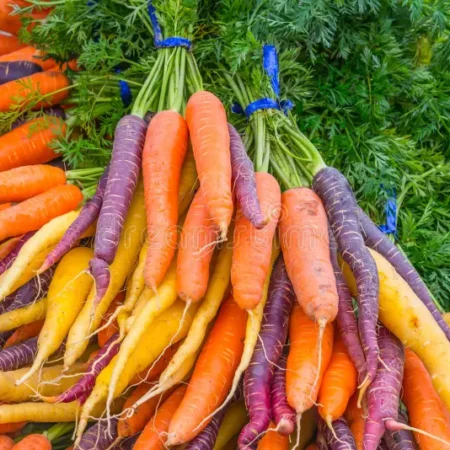 Carote a mazzi multicolor