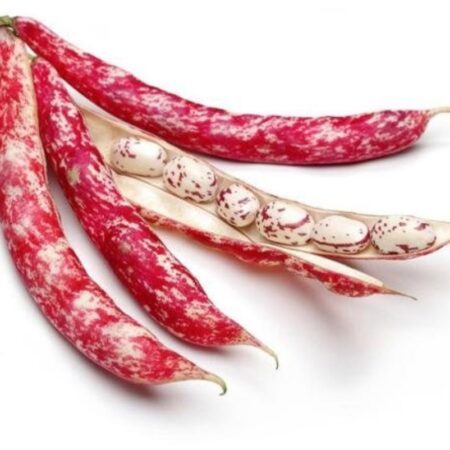 Fagioli borlotti freschi