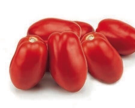 Pomodoro da salsa