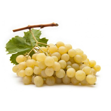 Uva moscato